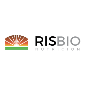 RIS